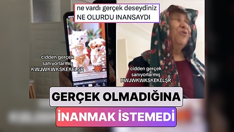 Oryantal Oynayan Kedi Videosunun Gerçek Olmadığını Öğrenen Babaanne Hayal Kırıklığına Uğradı