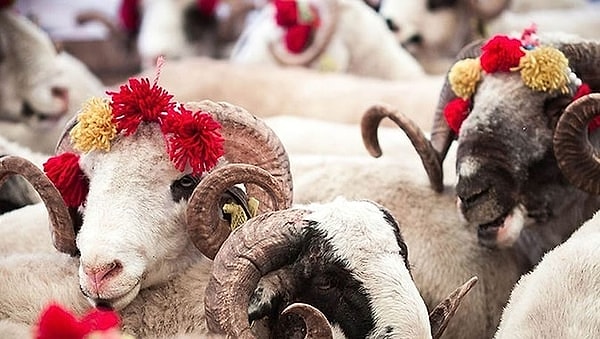 Kurban Bayramı Tatili Ne Zaman Başlıyor 2025? Görseli