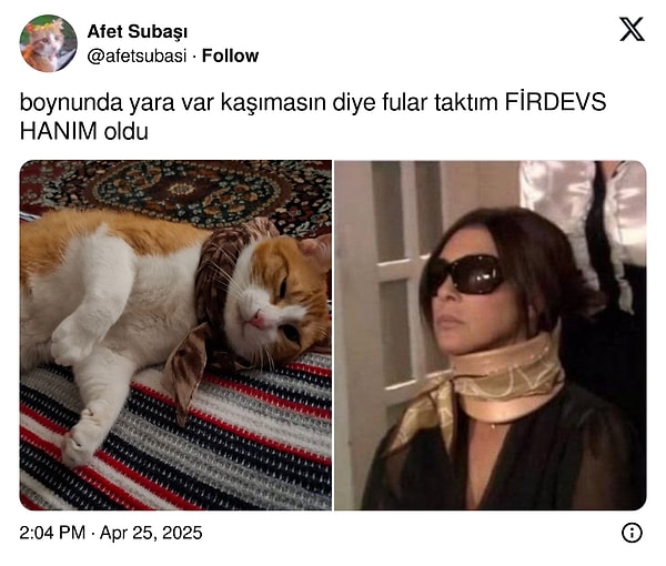 12. Miyav Yöreoğlu 😂😂😂