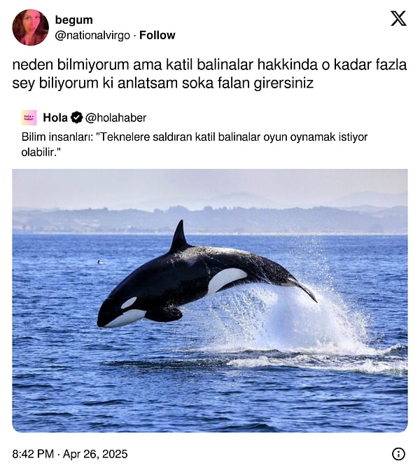 Herkesin gereksiz bilgilerle dolu olduğu en az 1 konu olmalı.