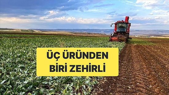 Pazar ve Marketten Alınan Her Üç Üründen Biri Zehirli Çıktı