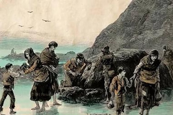 2. Bir sebze İrlanda'nın kaderini değiştirdi.