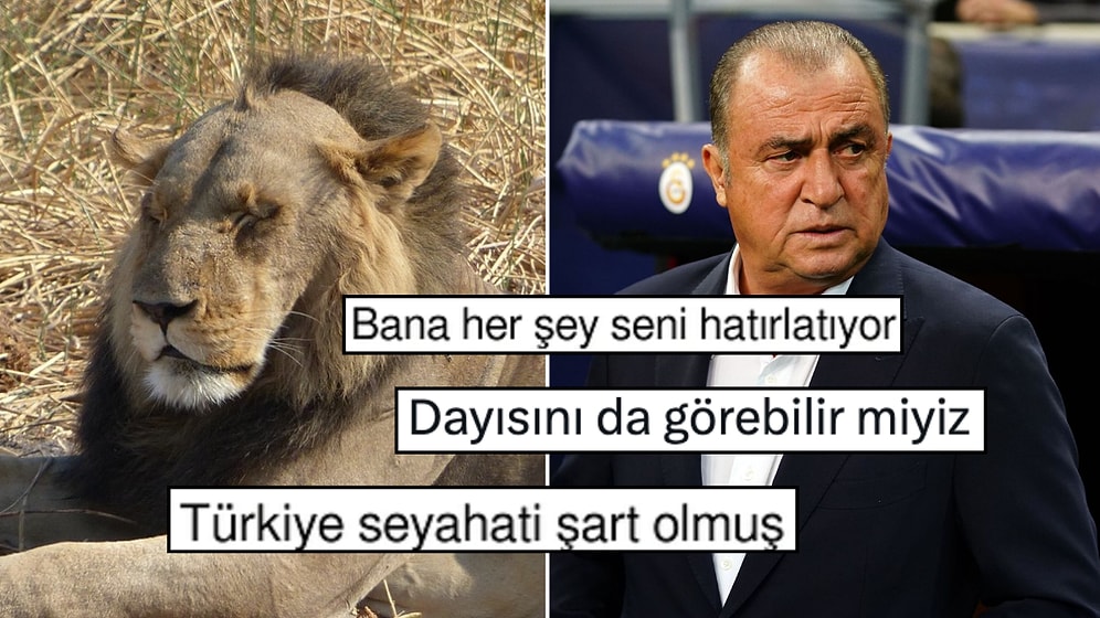 Yaşlandıkça Kelleşen Aslanla Empati Kurup Goygoyu Bi' Tık Abartanlar