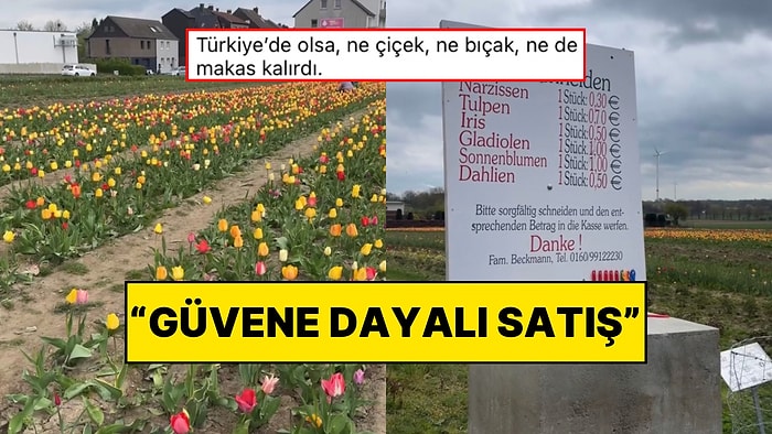 Almanya’dan Gelen Kadın Oradaki Güveni Özlediğini Anlattı: “Türkiye’de Güvene Dayalı Satış Olabilir miydi?”