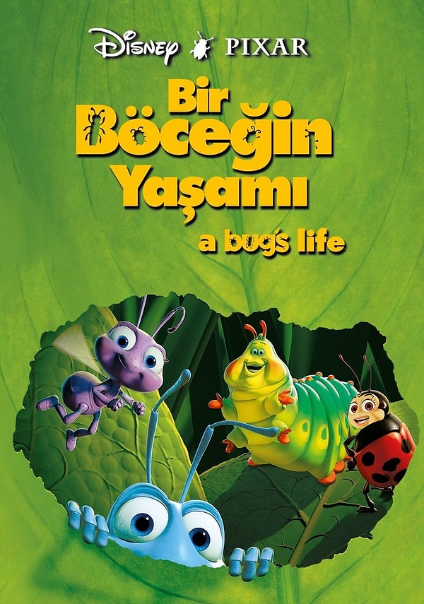 10. Bir Böceğin Yaşamı