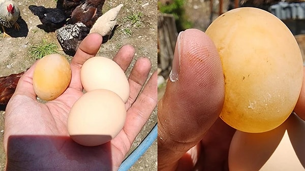 Böylesi ne duyuldu ne de görüldü. ''Daha neler göreceğiz'' dedirten olay Elazığ'da yaşandı.