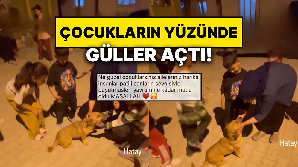 Barınağa Götürülen Pati Adlı Köpek Mahalleli Sayesinde Geri Döndü: Çocukların Mutluluğu Paha Biçilemezdi!