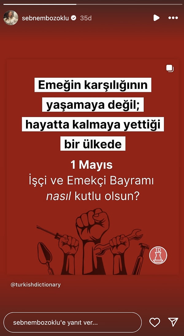 Şebnem Bozoklu