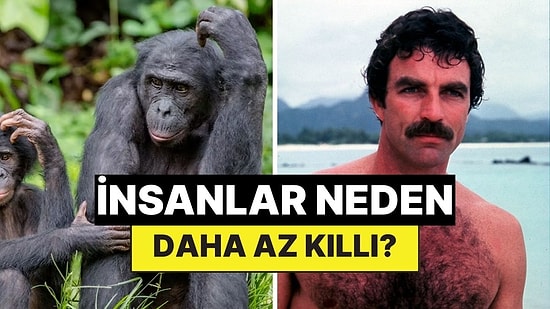 İnsanlar Neden Diğer Memeliler Kadar Kıllı Değil?