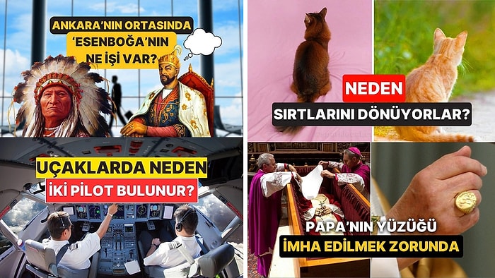 Sohbetlerin Aranan İsmi Olacaksınız: Arkadaş Ortamında Satabileceğiniz 15 Şaşırtıcı Bilgi