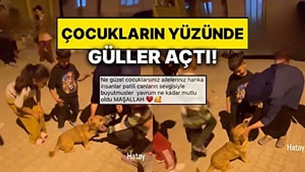 Barınağa götürülen sokak köpeği Pati, mahalleli sayesinde yaşam alanına geri döndü. Pati mahallenin adeta maskotu olmuştu ve ekipler tarafından barınağa götürülmesine vatandaşların vicdanı el vermemişti.