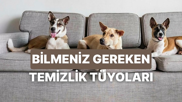 Kapak Görseli