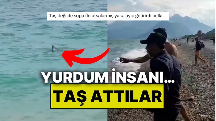Antalya Konyaaltı Sahilinde Kıyıya Yakın Köpek Balığı Görüldü: Tepki ise Taş Atmak Oldu