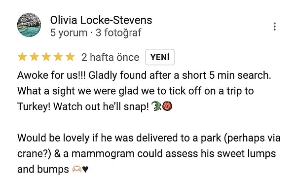 Let's check out some of the reviews 👇
