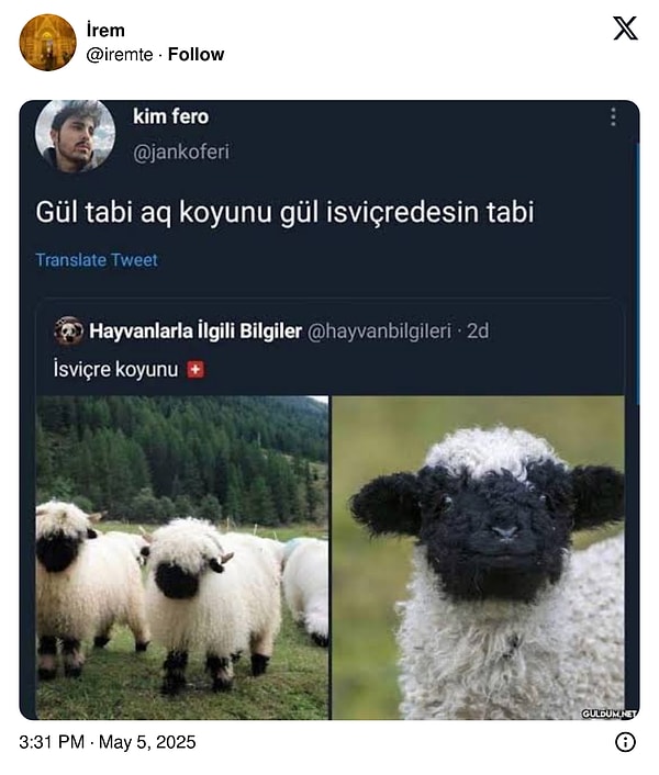 👇