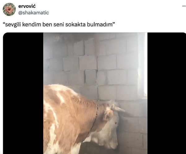Tabii bu derin anlamlar içeren mottolar da bazılarında kimi duyguların fitilini ateşledi.