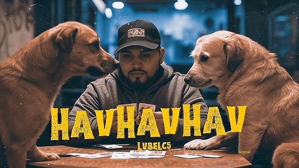 LVBEL C5 havhavhav şarkı sözleri Görseli