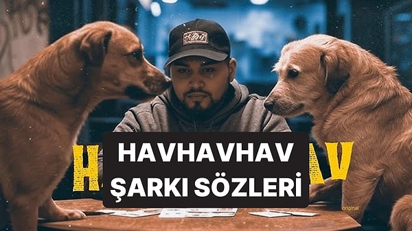 Kapak Görseli
