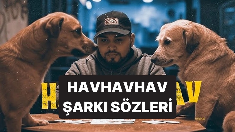 LVBEL C5 Havhavhav Şarkısı Sözleri: Havhavhav Ne Zaman Çıktı, Ne Kadar Dinlendi?