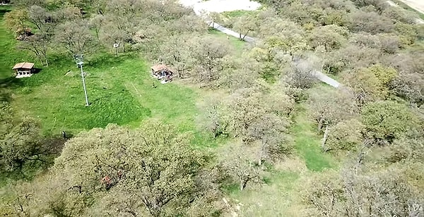 6. Balat Forest for those who want to enjoy the outdoors...