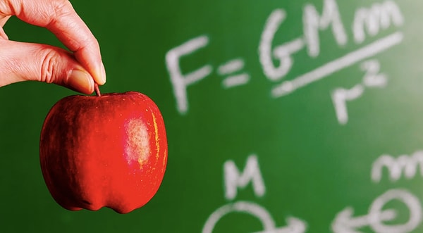 Newton Prensibi: Sessizliğin Haritası ve Bütünsel Kavrayış