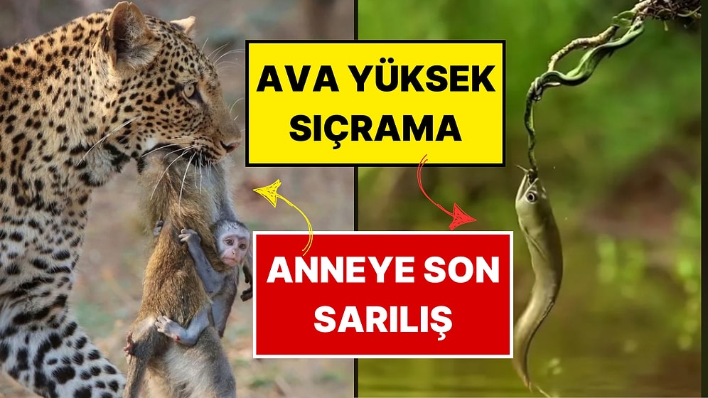 Doğanın Korkutucu Yüzünü İliklerinize Kadar Hissetmenize Sebep Olacak Birbirinden Ürkütücü 15 Yeni Fotoğraf