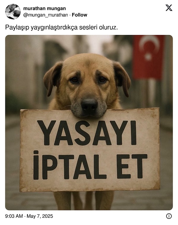Tepki çeken hayvan hakları yasasının iptali için sosyal medyada da kampanya başlatılmıştı. 👇