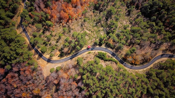 5. Yenice Forests Cycling Trails: A Nature Getaway in the Heart of the Black Sea