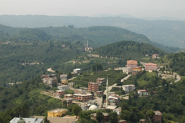 Çamas: Depths of the Canyon