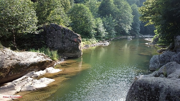 Turnasuyu: Harmony of Coast and Nature