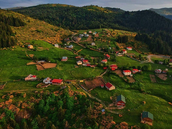 Çambaşı Plateau: Four Seasons Vacation