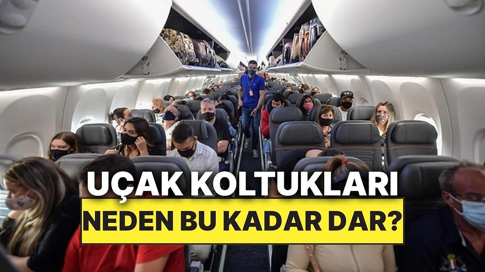 Uçak Koltukları Otobüstekilere Kıyasla Neden Bu Kadar Dar?