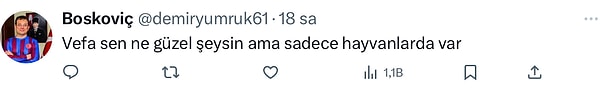 👇