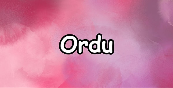 Kaderinde yazılı olan kişi Ordu'da yaşıyor!