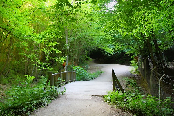 2. Polonezköy Nature Park - Beykoz (Nature and Culture Together)