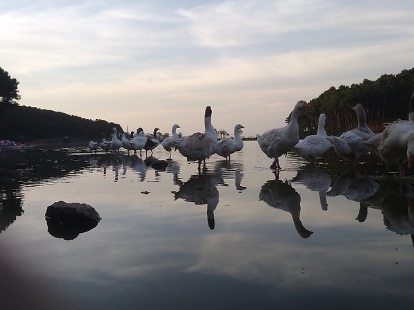 3. Aydos Forest / Recreation Area - Kartal/Pendik (At the Top of Istanbul)