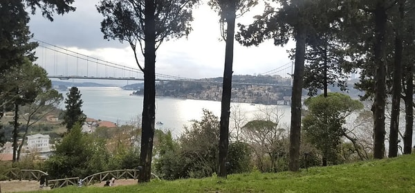 4. Mihrabat Grove - Beykoz (Tranquillity with Bosphorus View)