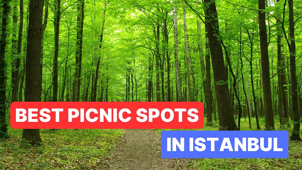 Top 10 Picnic Spots in Istanbul: Your 2025 Guide to Outdoor Leisure