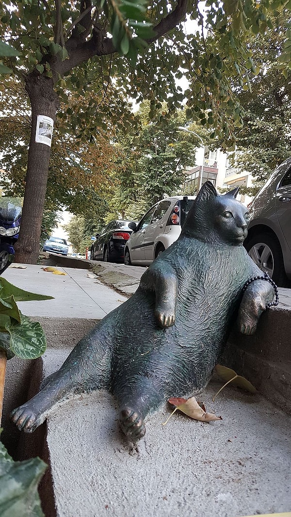 Tombili: The Legendary Cat of Ziverbey
