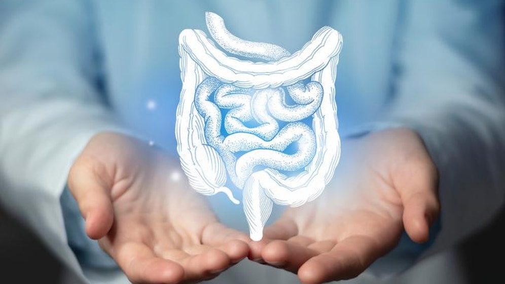 İyi Hissetmenin Sırrı: Sinbiyotik Nedir, Ne İşe Yarar?