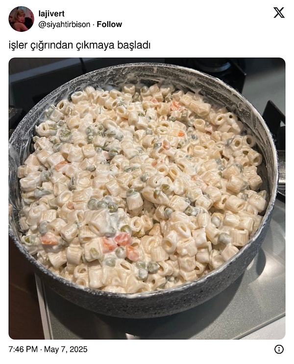Yapmayın! Yaz arıyor!