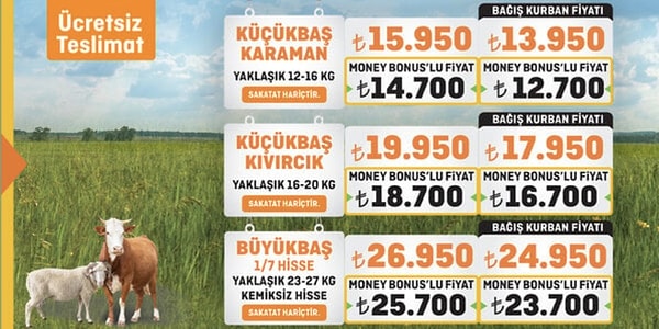 2025 Migros Büyükbaş ve Küçükbaş Kurbanlık Fiyatları Görseli
