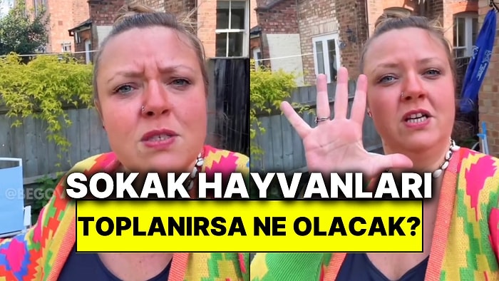 Sokak Hayvanları Toplanırsa Sonucun Ne Olacağını Londra’da Yaşayan Kadın Örneklerle Gösterdi