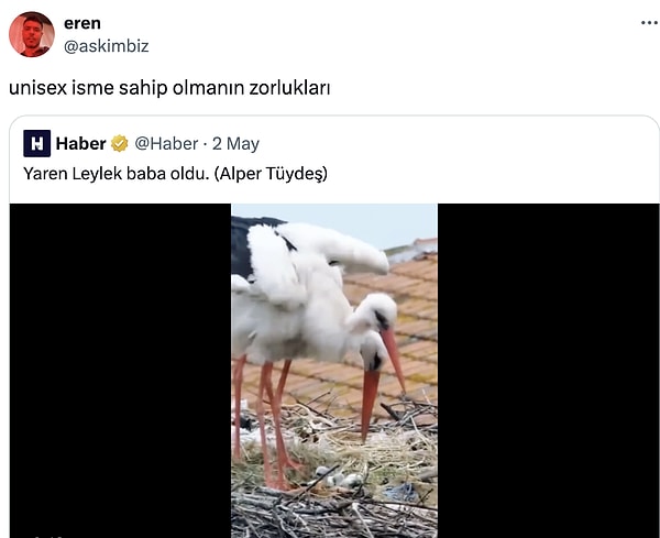 Başlıyoruz!