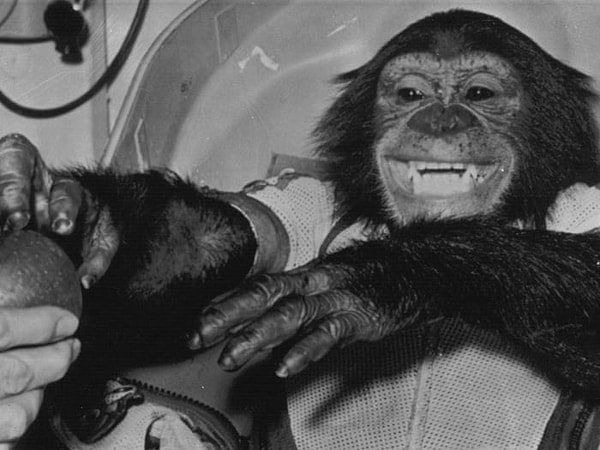 Ham’in başarısı, Amerika'nın ilk insan astronotu Alan Shepard’ın yolunu açtı ve bu tarihi uçuş sadece birkaç ay sonra gerçekleşti.
