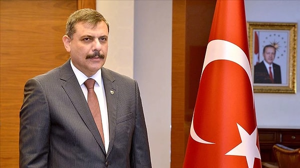 "Sahipsiz sokak hayvanlarının dahi hakkını-hukukunu savunur görünen mütecaviz ve hadsiz güruh..."