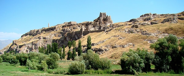 3. Van Castle
