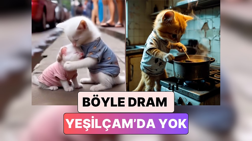 Başrollerinde Kedilerin Yer Aldığı Bu Yapay Zeka Filmleri İzlerken Yüreğiniz Dağlanacak