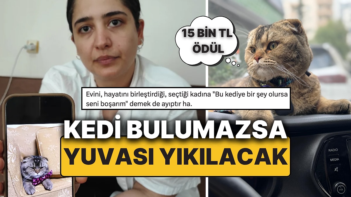 Kayıp Kediyi Bulana 15 Bin TL Ödül, Yoksa Yuvası Yıkılacak &quot;Kediye Bir Şey Olursa Seni Boşarım!&quot;