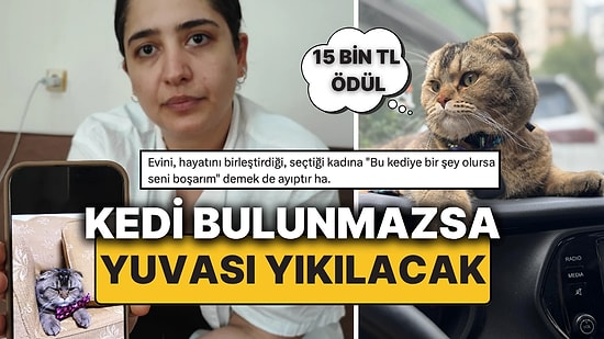 Kayıp Kediyi Bulana 15 Bin TL Ödül, Yoksa Yuvası Yıkılacak "Kediye Bir Şey Olursa Seni Boşarım!"